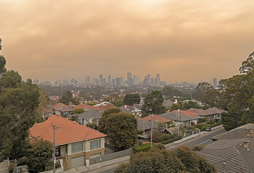 Houses and trees landscape with a hazy skyline in the background.