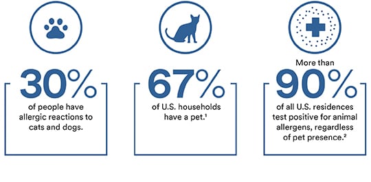 are cat allergies more common than dogs