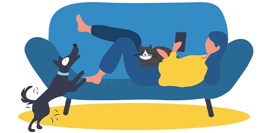 Take care to dust common hangout areas, such as family rooms and bedrooms, frequently: pets are walking dust mite magnets and upholstered furniture provides a particularly cozy refuge for dust mites. Same goes for poofy comforters, plush toys and luxurious bedding.