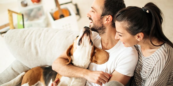 A joyful couple cuddles with their dog on a couch in a cozy living room.
