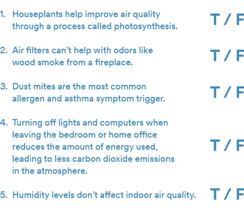 5 points made about air quality activity and whether they are true or false.