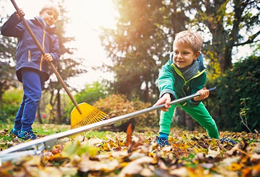 Help keep allergies at bay heading into fall.