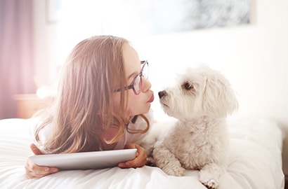 Pet dander can contribute to the makeup of your indoor air.