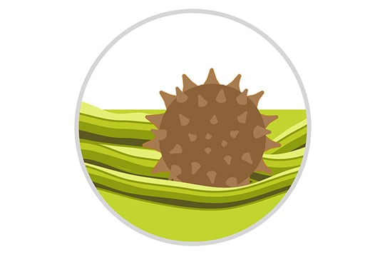 Tree pollen counts start spiking as early as January in southern states, and can keep producing well into June.
