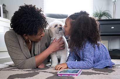 After all the dirt, pet dander and dust, here’s how to get those rugs refreshed and gorgeous again.