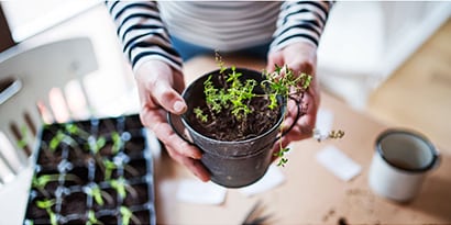 a person holding up a potted plant