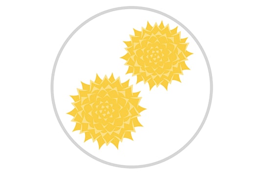 Peaking around mid-September throughout most of the United States, weed pollen typically wreaks havoc when the weather is windy, dry and hot.