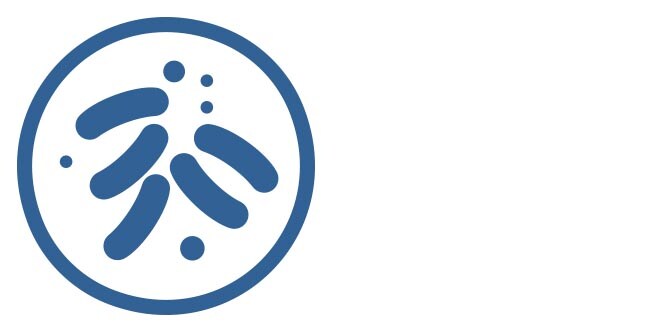 Bacteria
