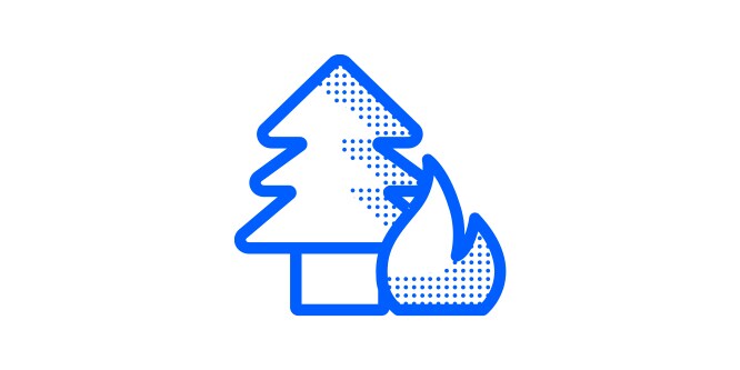 an icon of a pine tree and flames depicting wildfire smoke.
