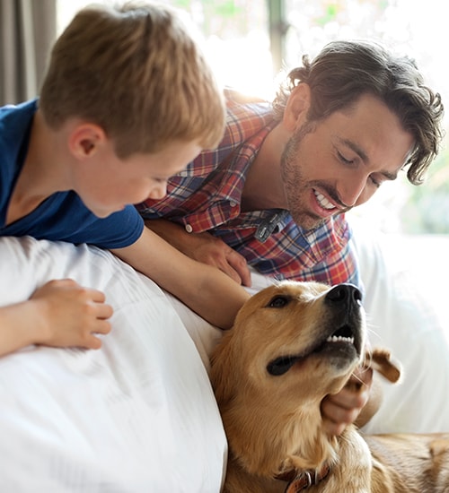 Dad and Son playing with dog next to bed