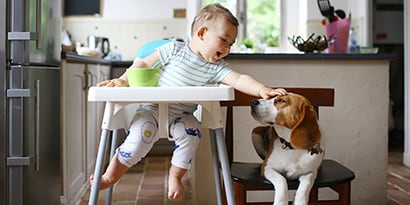 a baby petting a dog from a high chair