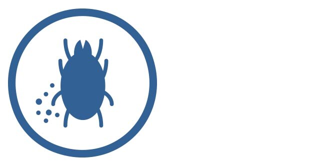Dust Mites
