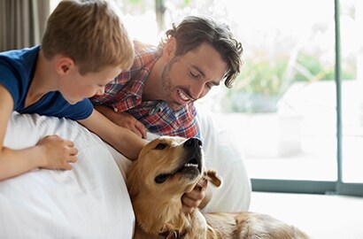 Pet benefits