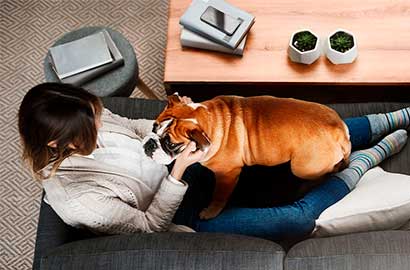 Even if you live in an apartment, you can take control of your indoor air quality.