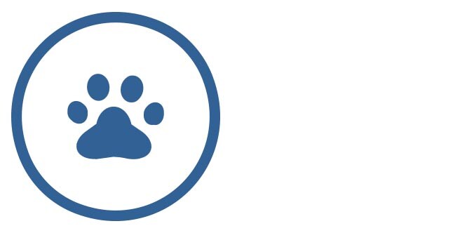 Pet Dander
