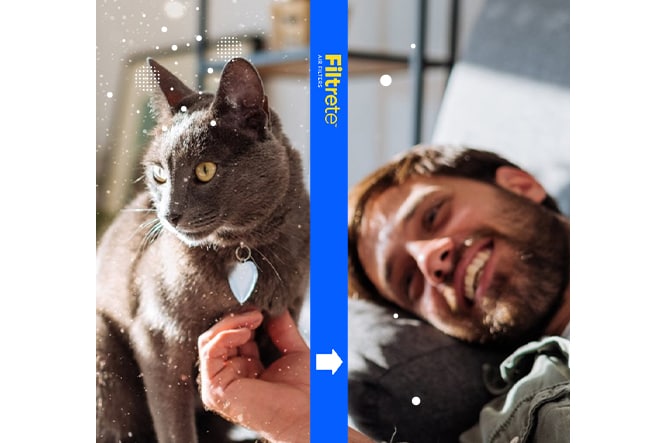 A man and cat laying on a sofa, the cat is on the left with particles in the air, a Filtrete filter is in the middle, and on the right the man is smiling with less particles in the air.
