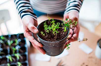 Enjoy the flowers and songbirds, but take a pass on the sniffling and itching, with these tips for combating seasonal allergies.