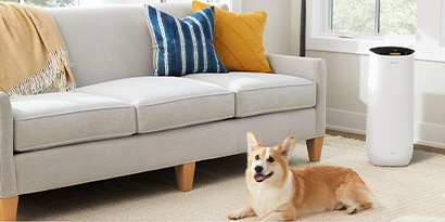 Dog sitting next to a Filtrete Smart Air Purifier