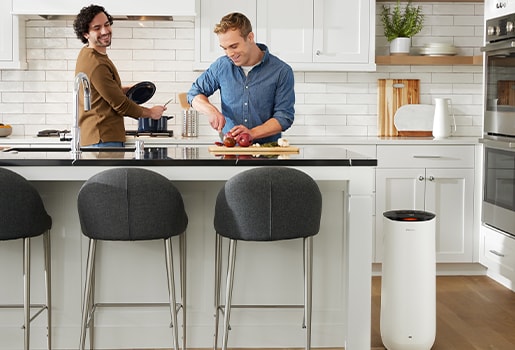 Learn how to use your air purifier device in conjunction with a humidifier, so you can stay comfortable during dry air blasts without sacrificing indoor air quality.