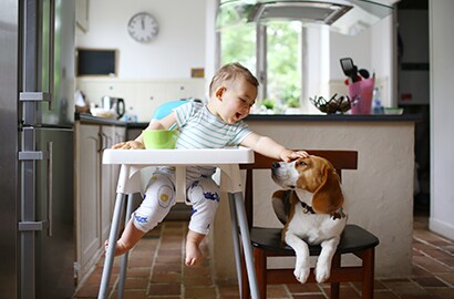Try using an electrostatic or microfiber dry mop on hardwood floors to trap pet hair.