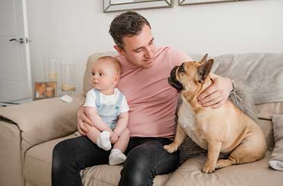 Powerful, chemical cleaning agents can be harsh for your pets. Here’s an at-a-glance guide at what to avoid and what to stock.