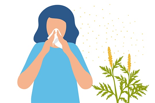 There are 17 different ragweed species here in the U.S. that could impact your seasonal allergies.