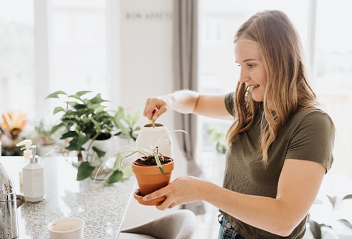 Prepping your home for spring thaw? Here’s how things like pest poison and indoor and outdoor insect spray can affect your indoor air quality, and how you can protect your home while keeping bad air at bay.