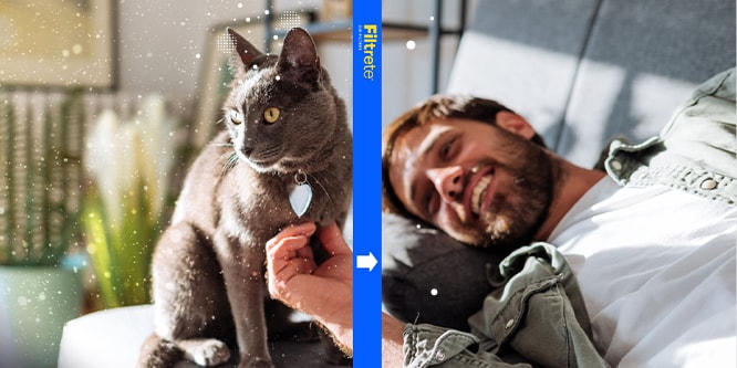 A man and cat laying on a sofa, the cat is on the left with particles in the air, a Filtrete filter is in the middle, and on the right the man is smiling with less particles in the air.
