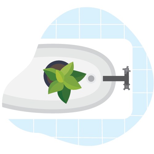 An illustration of a house plant in a bathtub.