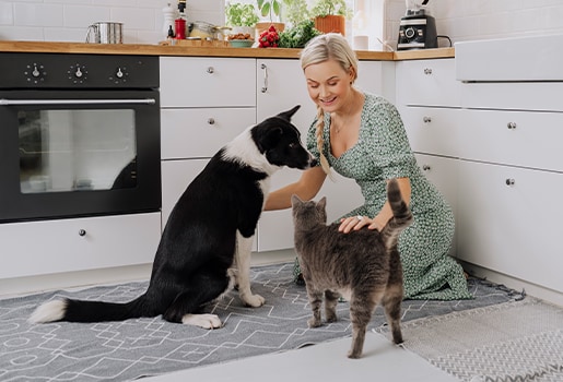 We analyze the differences between cats and dogs, and explore which is the healthier choice for your home’s indoor air quality.