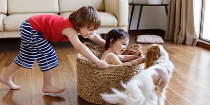 kid pushing sibling around in a laundry basket next to family pet
