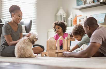 Utilize these tips and tricks to help protect your pets from indoor air pollution.