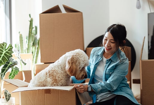 Consider these five short-term improvements for better indoor air quality long term. A woman smiling at a dog sitting in a moving box.